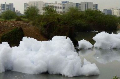 File photo of Bellandur lake