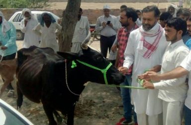 Yogendra Yadav