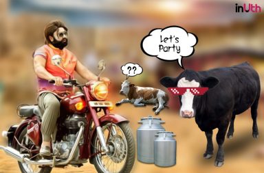 Gurmeet Ram Rahim Singh, Mega Cow Milk Party, Cow Milk Party, Cow Protection, Cow Slaughter, Beef Ban, Jattu Engineer, MSG