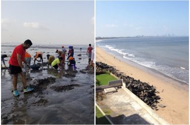 Mumbaikars come together to clean city's 'filthiest' Versova beach