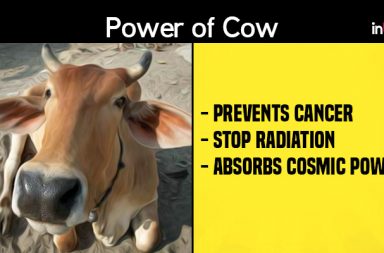 Benefits from cow according to Rajasthan HC Judge Mahesh Chandra Sharma
