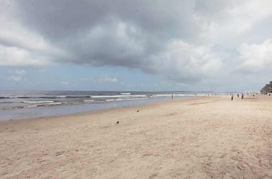 IIT Madras help reclaim beach in Kerala