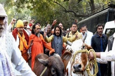 Cow vigilantism