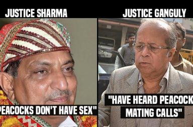 Peacocks, Justice Sharma