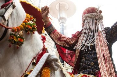 Groom along with horse fell down into well during pre wedding celebrations