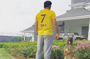 MS Dhoni, CSK jersey, IPL 2018