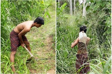 Kerala boy fails to get college admission despite good grades, forced to take up farming