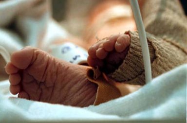 baby