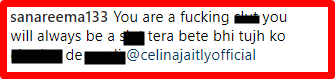 Someone bashed Celina Jaitly for posting nude photos and good people on Instagram taught her a lesson Celina hate comment