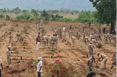 telangana plantation